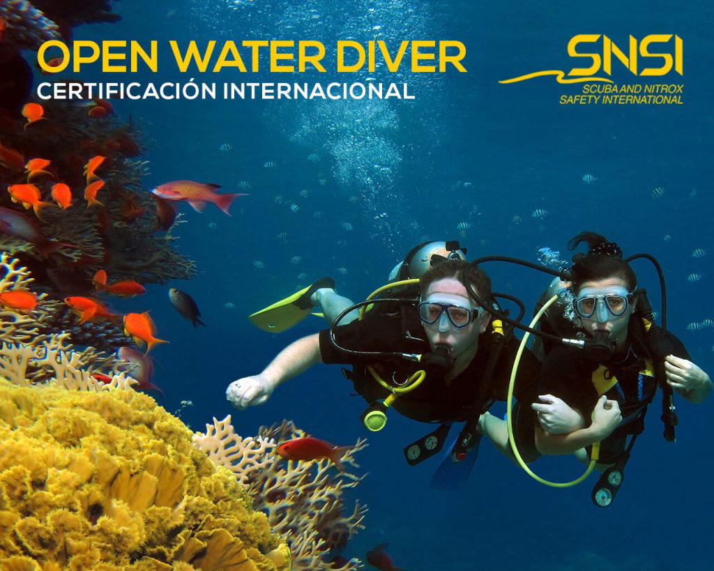 snsi open water diver