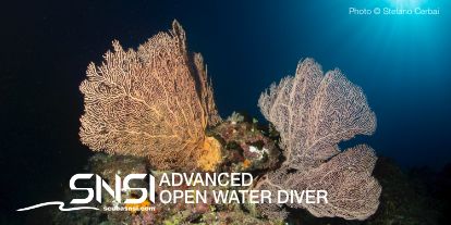 snsi advanced open water diver