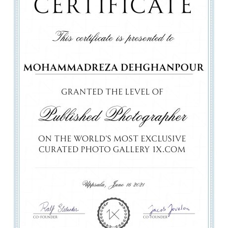 published_photographer_certificate-641562